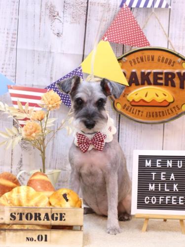 20240905ぽんずちゃん